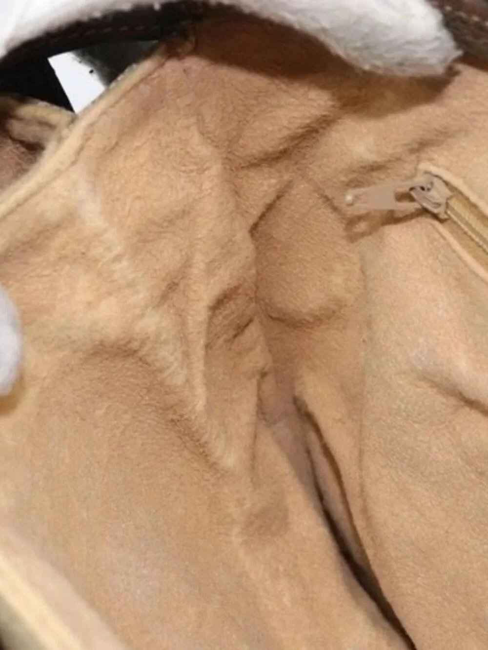 Gucci brand	gucci color	beige